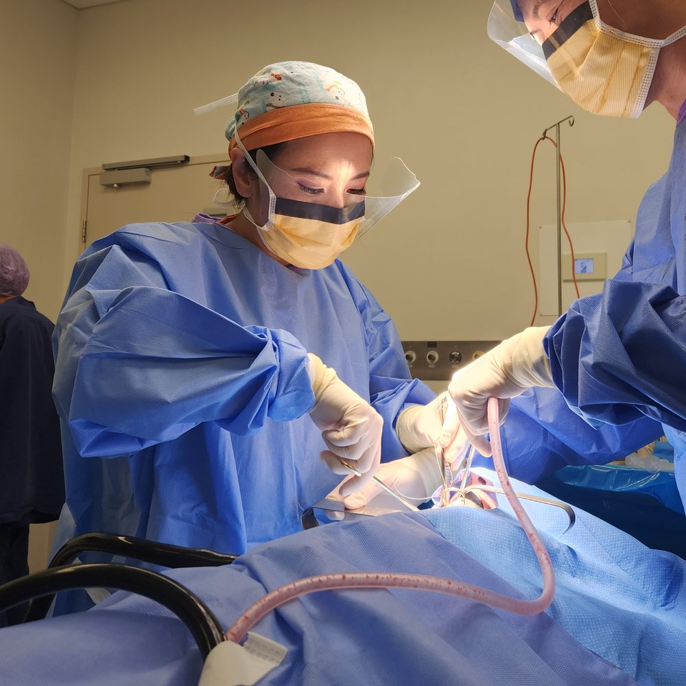 Two clinicians operating in theatre during an oral surgical procedure
