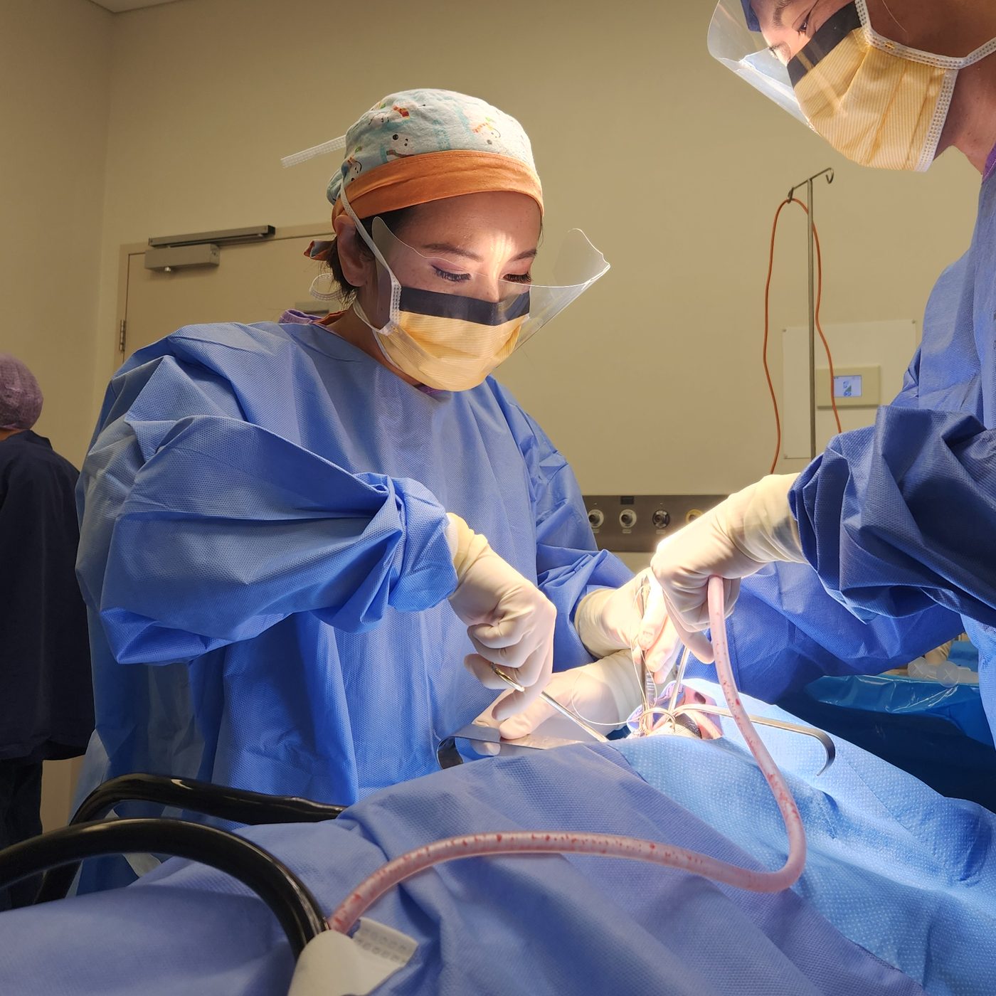 Two clinicians operating in theatre during an oral surgical procedure
